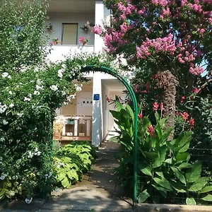 https://apartment-mirjana-fazana.in-istria.net